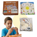 Puzzle Educativo Infantil Ciclo de Vida de Animales Rompecabezas Didáctico - imagen 2