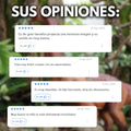 Dinosaurio: Camina, Pone Huevos, Luces Y Sonido - imagen 8