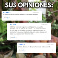 Dinosaurio: Camina, Pone Huevos, Luces Y Sonido - imagen 9