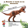 Figura Dinosaurio T-Rex Juguete Educativo Infantil - imagen 4