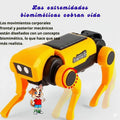 Robot Inteligente Interactivo Infantil Mascota Electrónica con Luces y Sonido - imagen 5