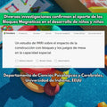 Bloques Magnéticos de Libre Armado 56 Piezas - imagen 8