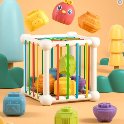 Cubo Encastrable Con Elásticos Hasta 24 Meses